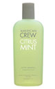 America Crew Citrus Mint